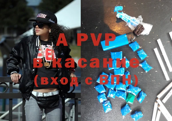 гидра Абаза