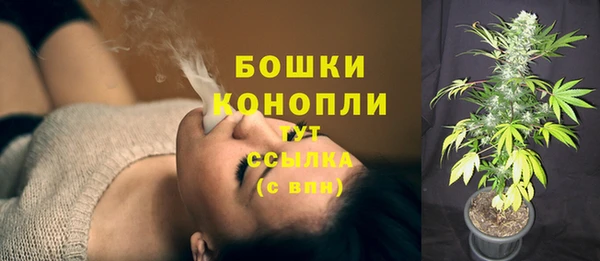 скорость Пестово