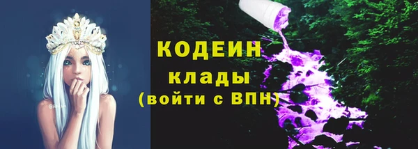 гидра Абаза