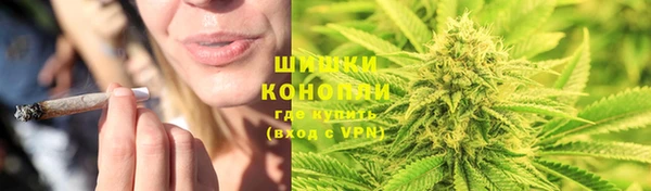 гидра Абаза