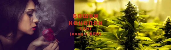 шишки Покачи