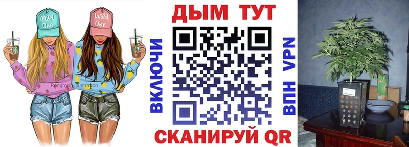 Шишки марихуана ГИДРОПОН  где купить наркоту  Алатырь 